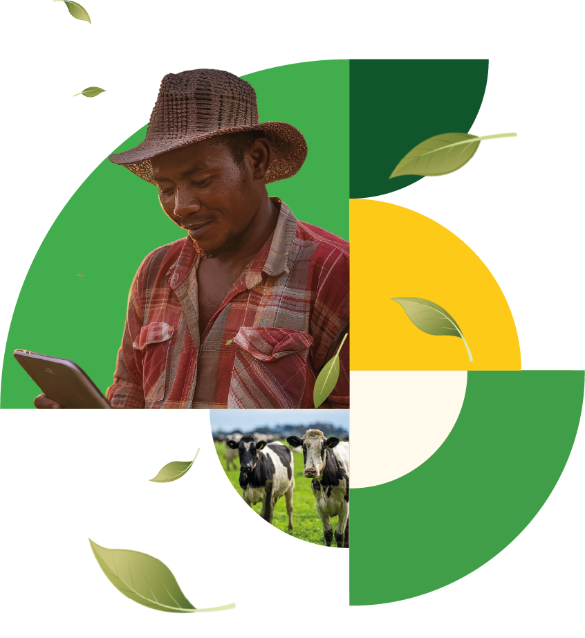 Primeros pasos en SINIGAN