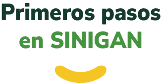 Primeros pasos en SINIGAN